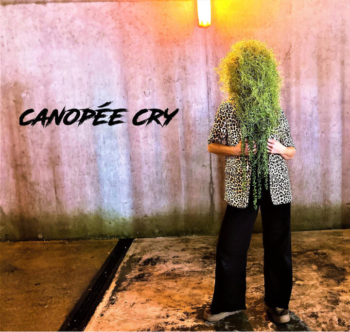 Enregistrement & Mixage